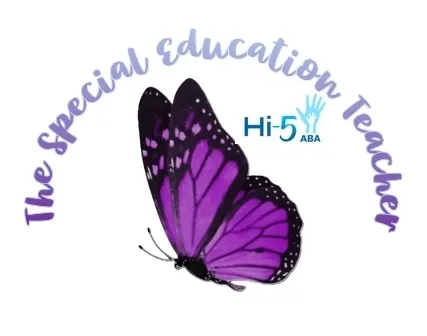 The Special Education Teacher